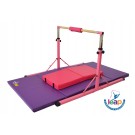 Leap Gymnastics High Bar Kit for Kids with Matts included 